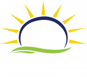 New Academy School Logo